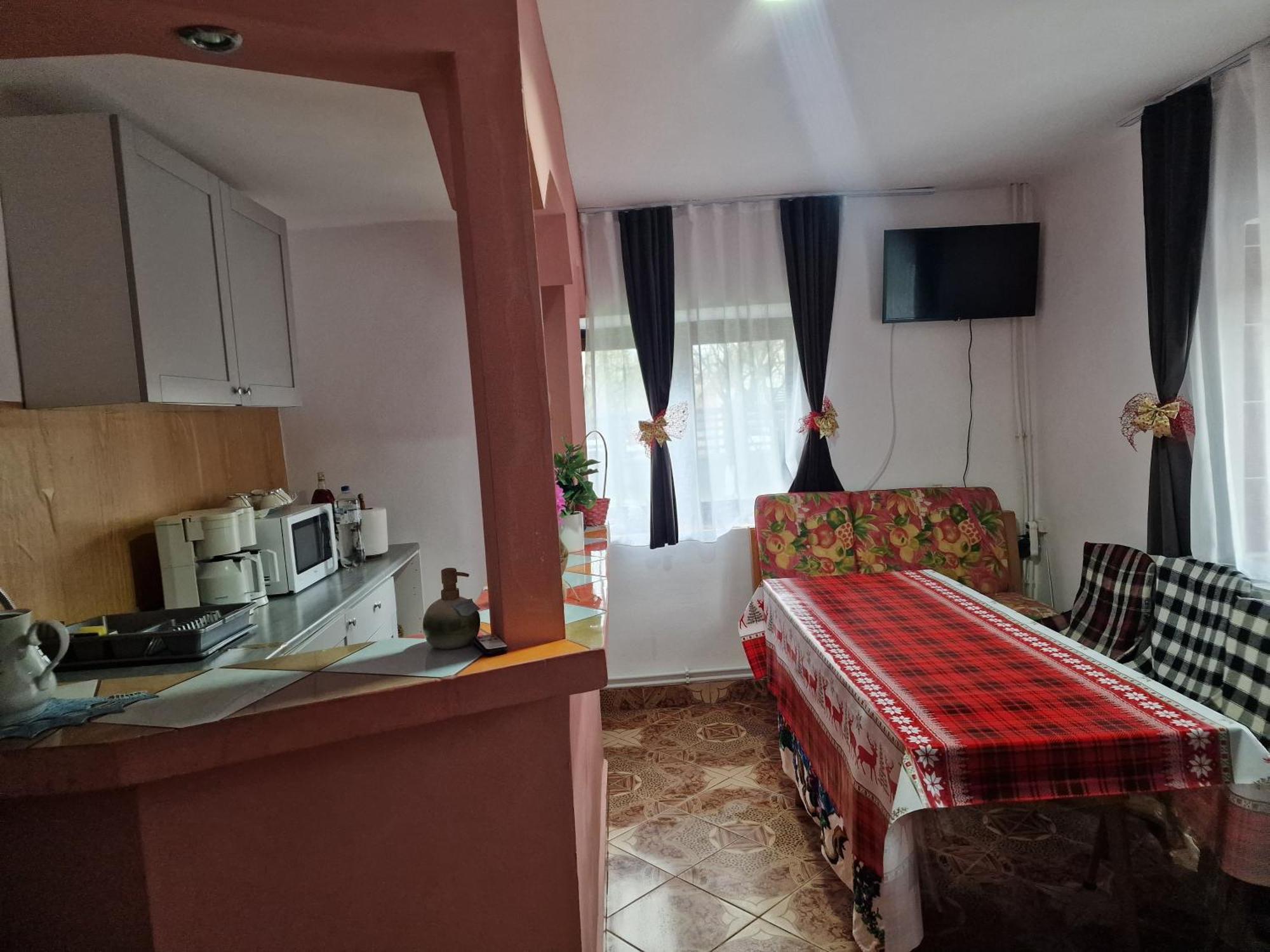 Вілла Casa Roxana Viseu de Mijloc Екстер'єр фото