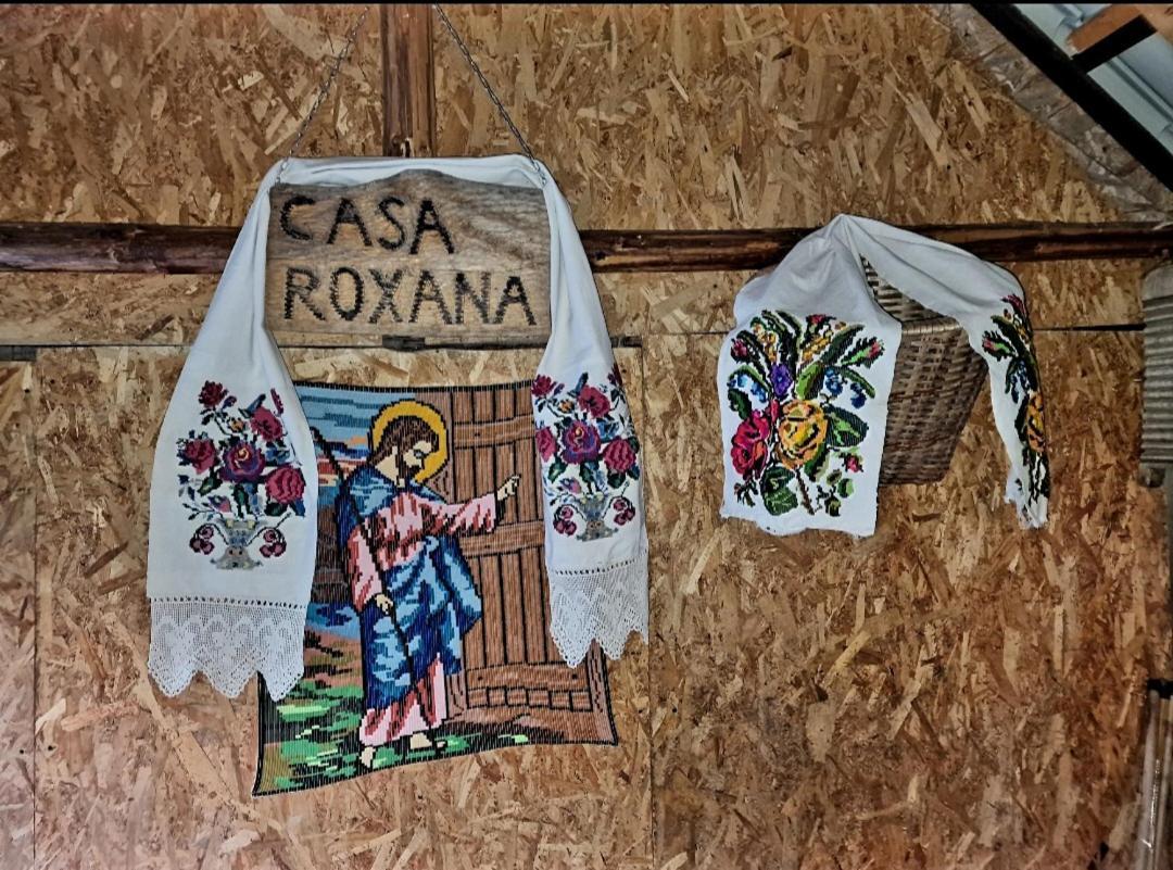 Вілла Casa Roxana Viseu de Mijloc Екстер'єр фото