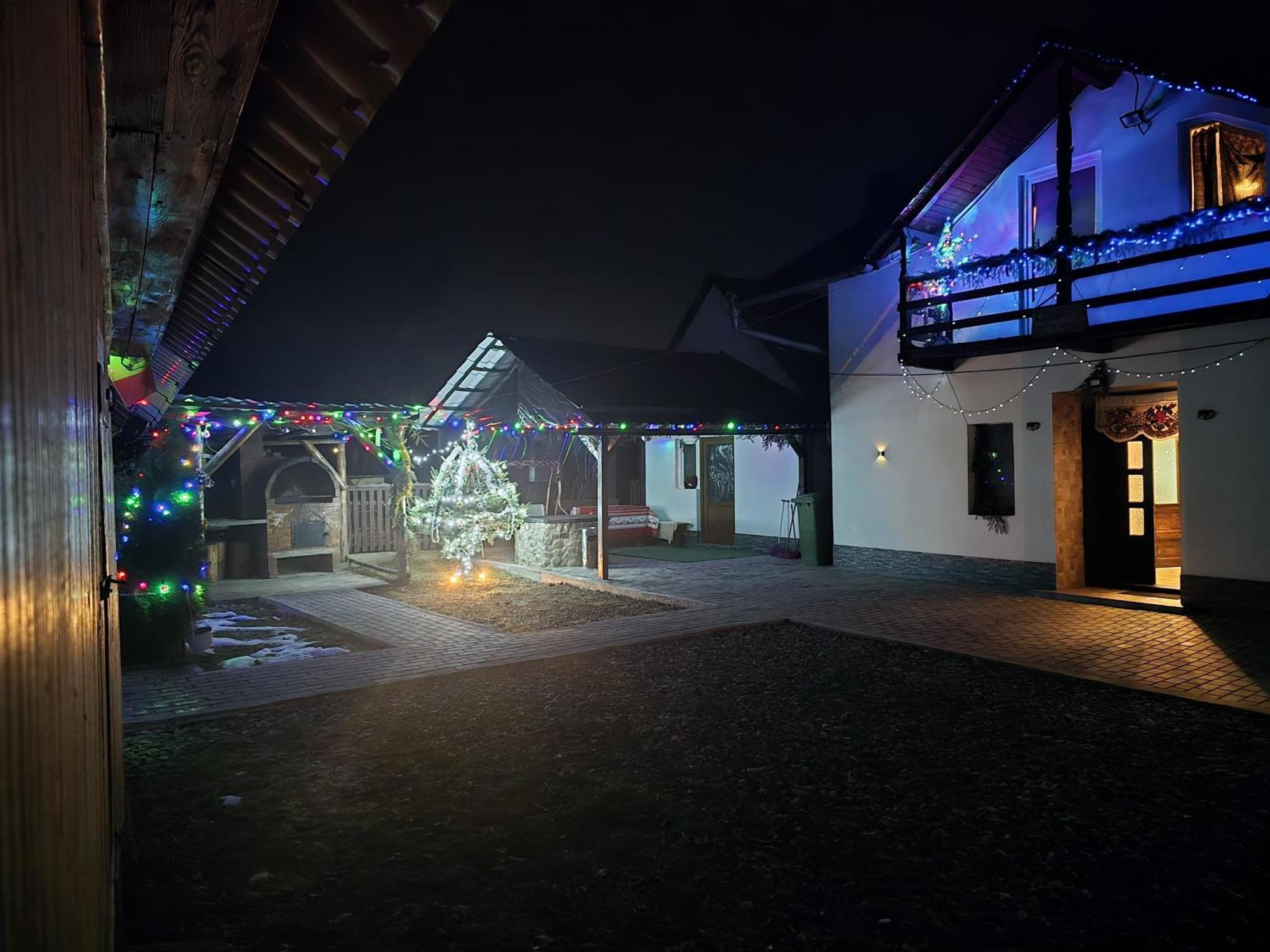 Вілла Casa Roxana Viseu de Mijloc Екстер'єр фото